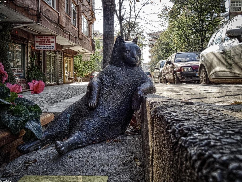 ការបង្ហាញព័ត៌មានថ្មីៗអំពី DV38